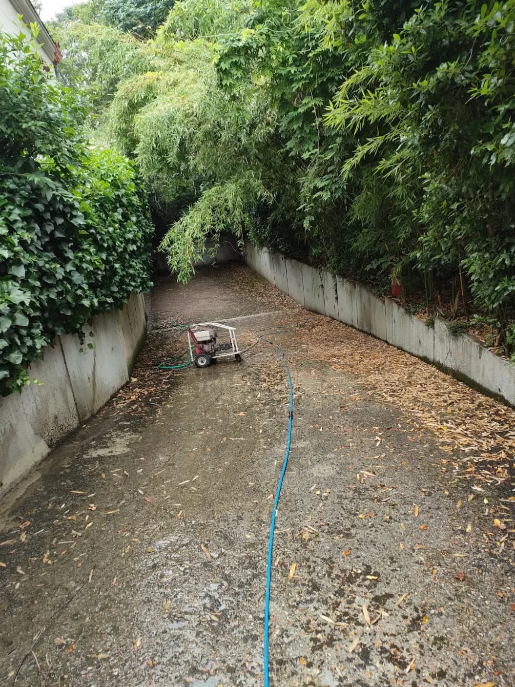Rampe de garage en béton grisée et couverte de feuilles mortes entre deux murs, avant le nettoyage par Artisans L.L