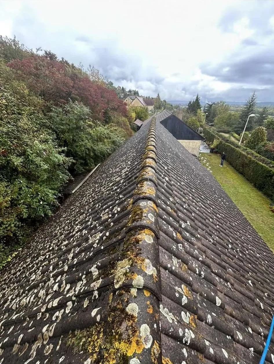 Toiture en tuiles vue depuis le faîtage, couverte de lichens jaunes et blancs, avant le démoussage par Artisans L.L